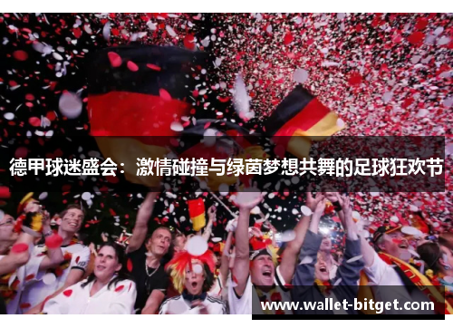 德甲球迷盛会：激情碰撞与绿茵梦想共舞的足球狂欢节